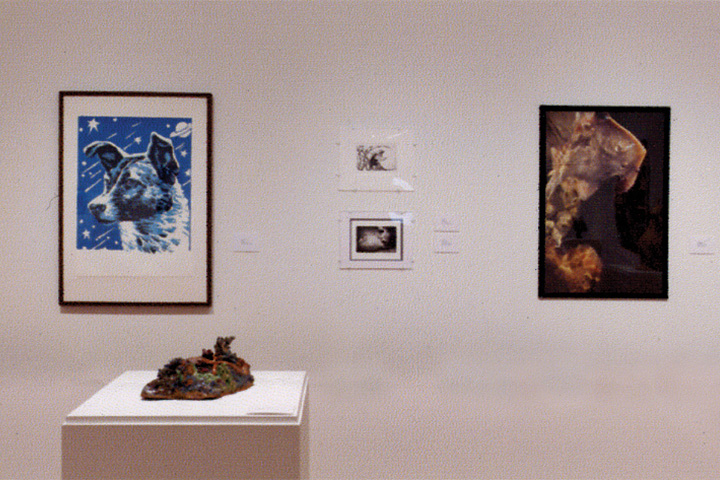 a white wall with some artwork hanging on the wall.